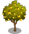Lemon2-icon