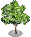 Lime4-icon