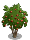 Pomegranate2-icon