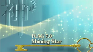 Flag 7.0