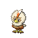 Rufflet NB variocolor