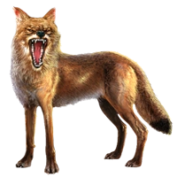 Huge item coyote 01.png