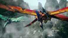 Toruk Makto flies