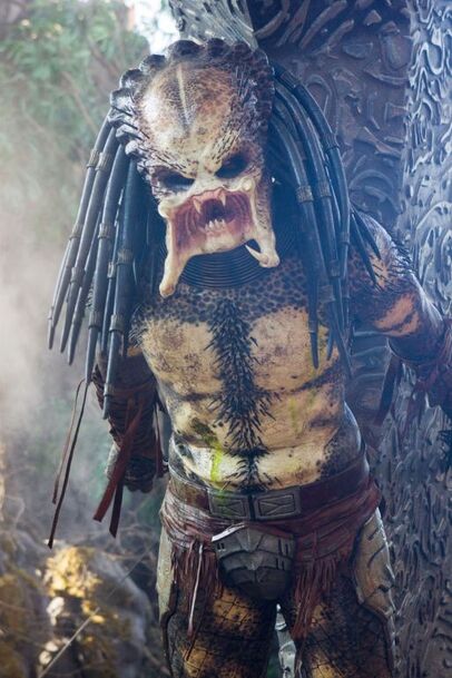 Predator Predator