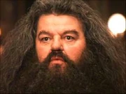 Hagrid6