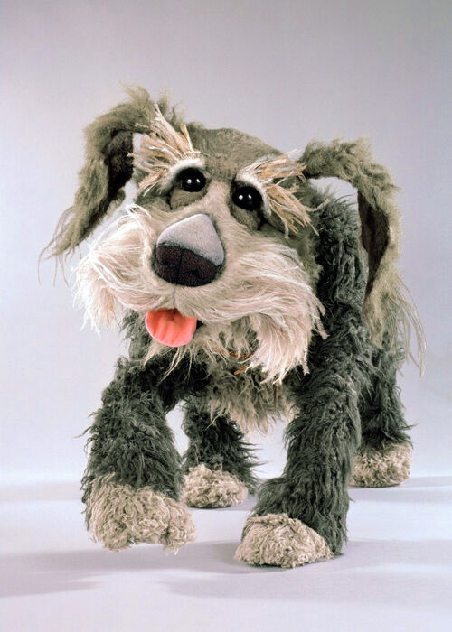 fraggles hund