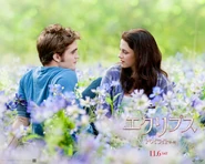Twilight2 1280x1024