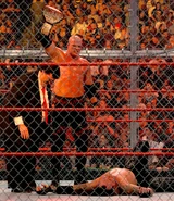 Kane hell in a cell