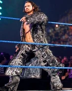 Survivor Series 2010..8