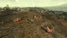 F This (NPC)