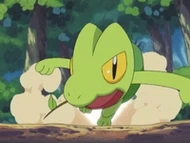 EP313 Treecko