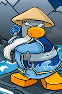 Water sensei