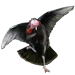 Item wildturkey 01