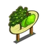 Lime Tree