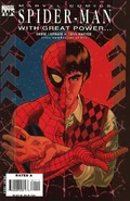 Spider-Man With Great Power... Vol 1 1