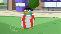 Perry en la vida preservers.png