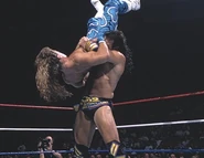 SummerSlam 1995.1
