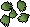 Cactus seed 5