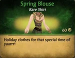 Spring Blouse
