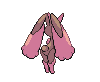 Imagen  posterior de Lopunny variocolor macho o hembra en la quinta generación