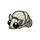 White Armadillo