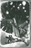 FT-mogadishu-battle-medium