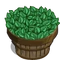Peppermint Bushel-icon