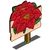 Poinsettia