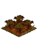 Poinsettia withered