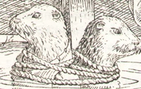 Whulky & Chab.jpg