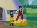 ChiChi&Gohan&Nimbus