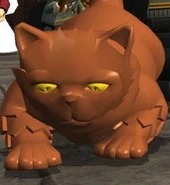 Cat pet