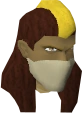 Menaphite guard chathead.png