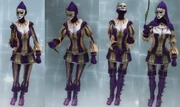 Hellequin gear