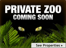 Zoo promo lg CS.png