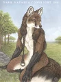 Fieldfoxx.jpg