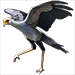Secretary Raptor