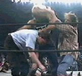 Nitro 4-20-98 32