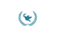 AIN Logo Transparent.png