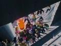 GTSurvivors