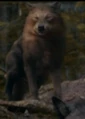 Quil-wolf.jpg