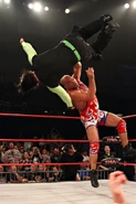 Bound for Glory 2010.84