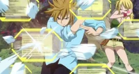 Hibiki Shield