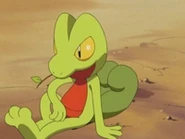EP317 Treecko (4)