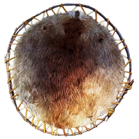 Huge item beaverpelt 01.png