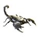 Item emperorscorpion 01