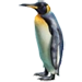 Item kingpenguin 01