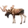 Item moose 01