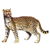 Huge item ocelot 01.png