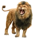 Item persianlion 01